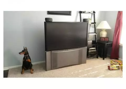 TV and Bose speaker system